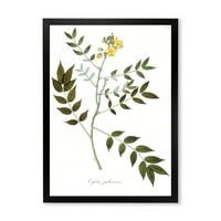 DesignArt 'Антички ботаники xviii' Традиционална врамена уметничка печатење