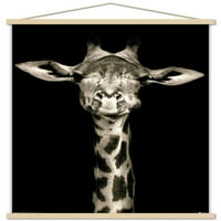 Портрет На Жирафа Ѕид Постер Со Дрвена Магнетна Рамка, 22.375 34
